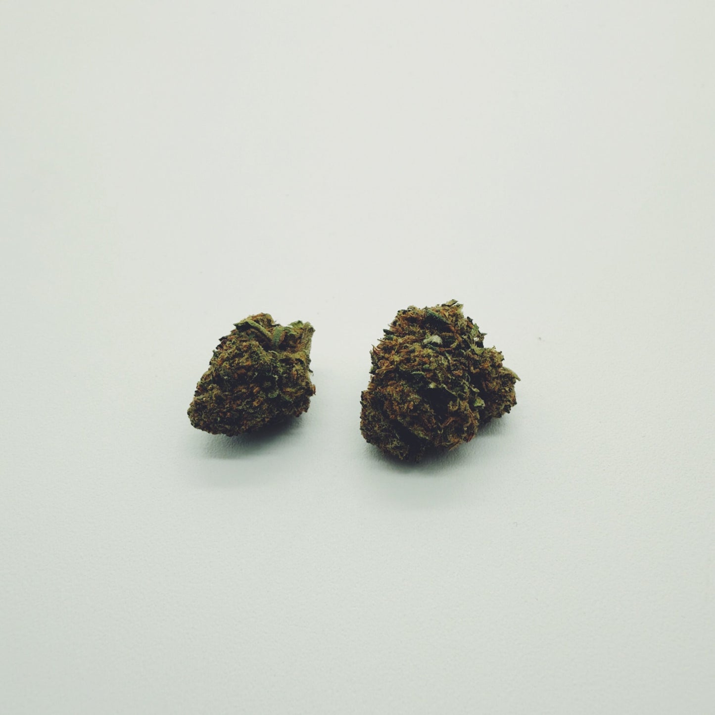 CBD Flowers Girl Scout Cookies 14% | Outdoor Small Buds | Hempvizer