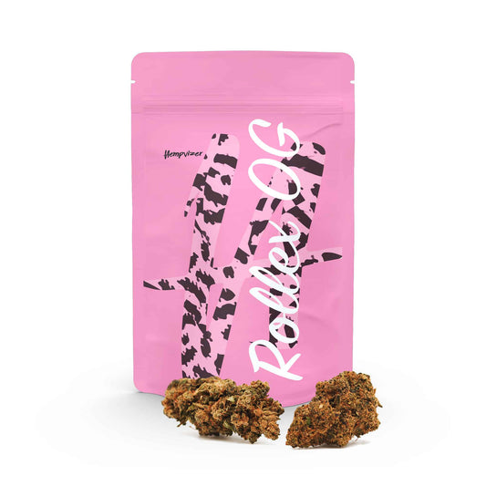 CBD Blüten Rollex OG 14% | Greenhouse | Hempvizer